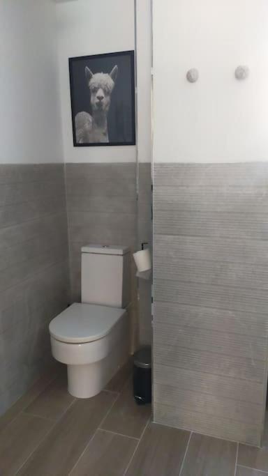 Apartamento Laurana 산탄데르 외부 사진